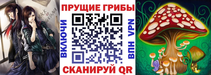 цена   Поронайск  Псилоцибиновые грибы Cubensis 